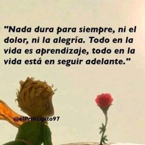 Meet your Posher, Domenika